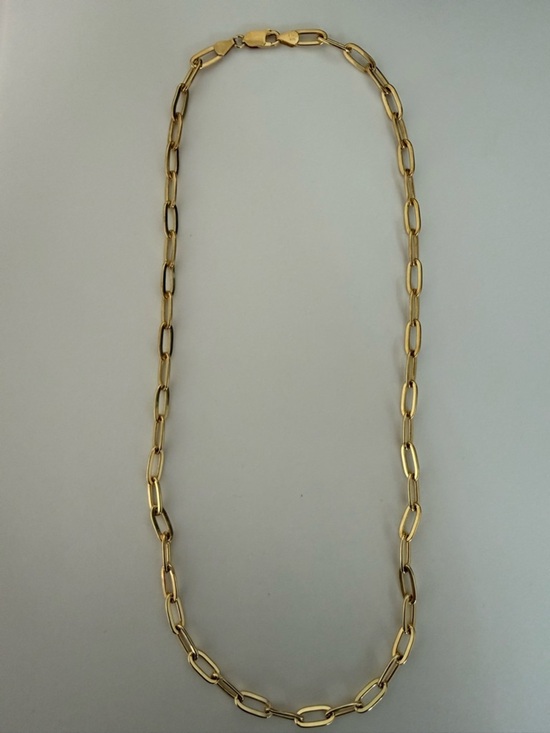None Jewelry - Gold Plated Paperclip Chain Necklace - Elegant Women's Jewelry 22”